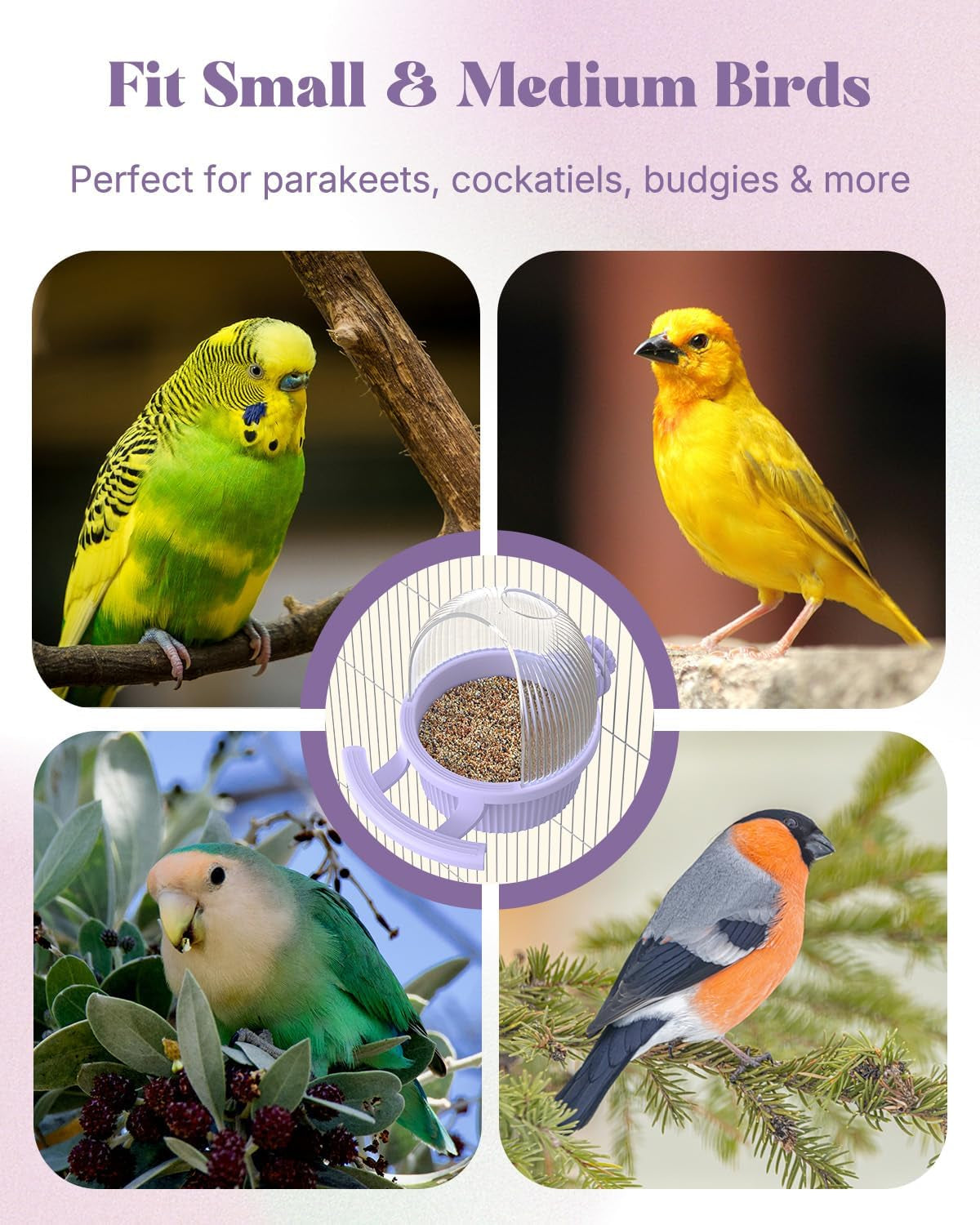 No Mess Bird Feeder with Water Dispenser, Food and Water Bowl for Parakeet, Parrot, Cockatiel, Budgie and Lovebird