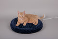 Cozy Heated Cat Bed with Orthopedic Foam - Thermo-Kitty Fashion Splash for Ultimate Comfort and Safety, Small 18" Round in Blue