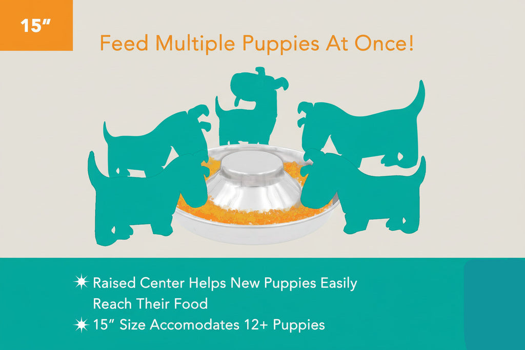 Stainless Steel Puppy Kitten Bowls: Welping Dishes for Weaning Puppies & Kittens, Wide Non-Tip Base, Slow Feeder, 15" (PS-15)