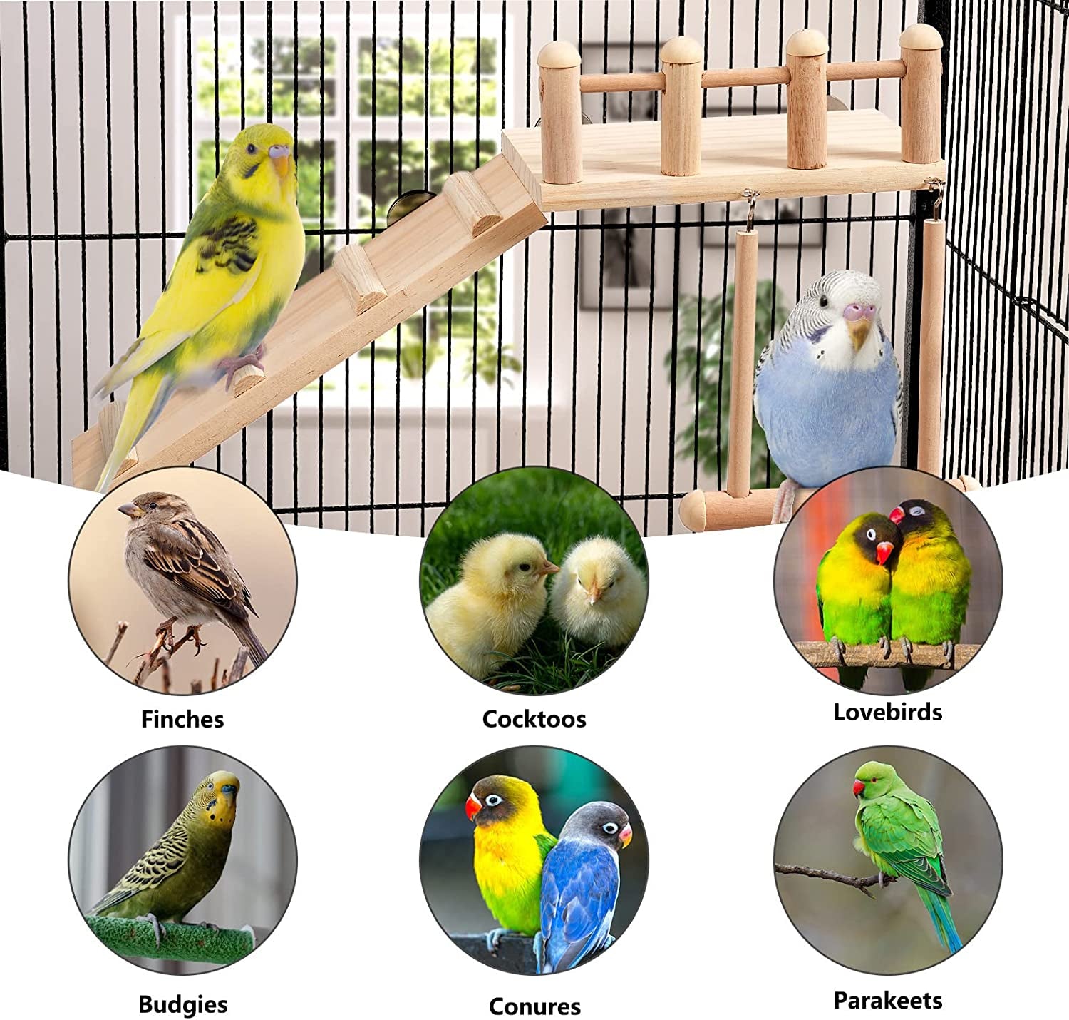 Bird Perches Platform Swing with Climbing Ladder, Parakeet Cage Accessories Wooden Playing Gyms Exercise Sturdy for Small Birds