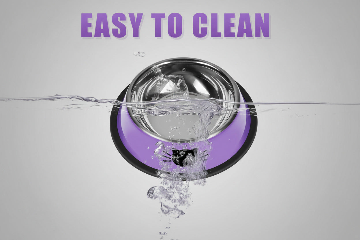 3Pcs Cat Bowls Non-Slip Stainless Steel Small Cat Food Bowls Unbreakable Thicken Cat Feeder 7 Oz Cat Dishes Suitable for Indoor Small Pets Removable Rubber Base Easily Clean Lovely Color