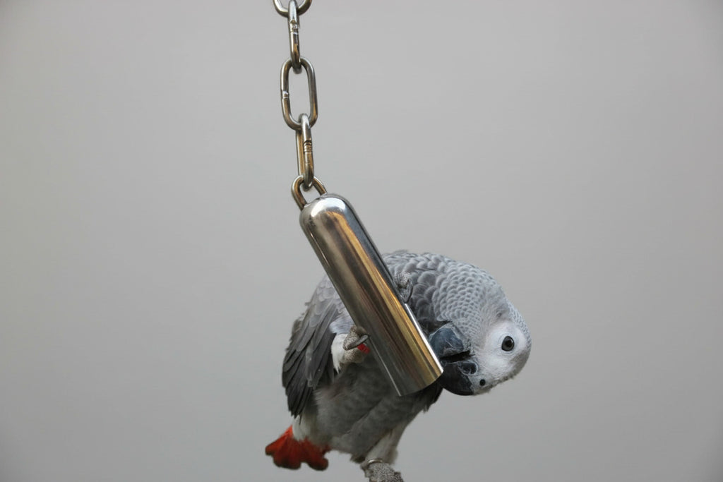 Stainless Steel Bell Toy for Birds,Heavy Duty Bird Cage Toys for Parrots, African Greys, Mini Macaws, Small Cockatoos, Cockatiels & More (Small or Large)