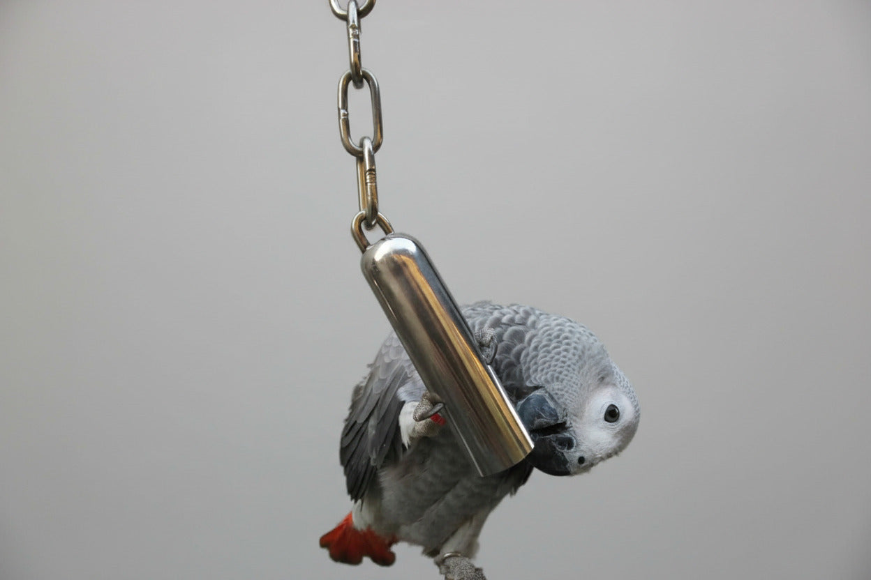Stainless Steel Bell Toy for Birds,Heavy Duty Bird Cage Toys for Parrots, African Greys, Mini Macaws, Small Cockatoos, Cockatiels & More (Small or Large)