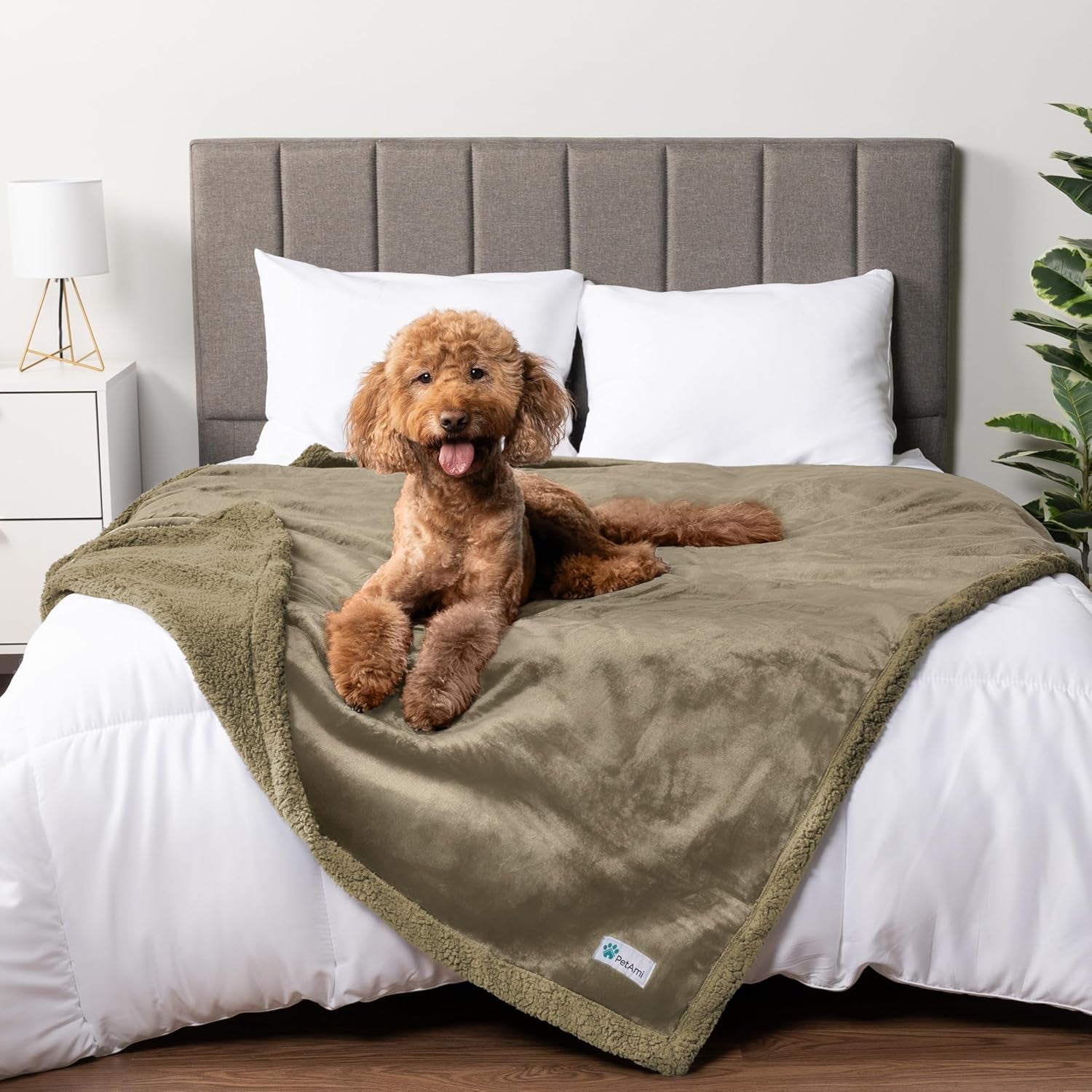 Luxurious Waterproof Dog Blanket - Reversible Sherpa Fleece Throw for Medium to Large Pets - 60x40 Inches in Taupe
