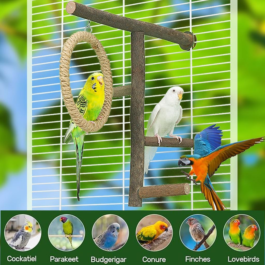 Bird Branch Perch Swing Toys, Natural Wood Parrot Cage Accessories for Parakeets, Cockatiels, Conures, Budgies,Finches, Love Birds, Small & Medium Birds