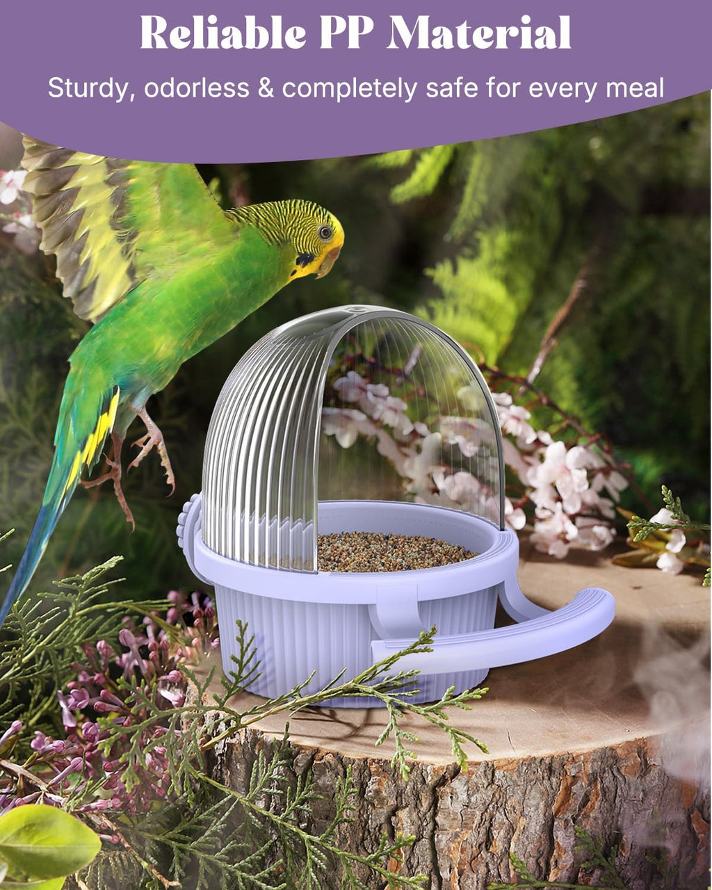 No Mess Bird Feeder with Water Dispenser, Food and Water Bowl for Parakeet, Parrot, Cockatiel, Budgie and Lovebird