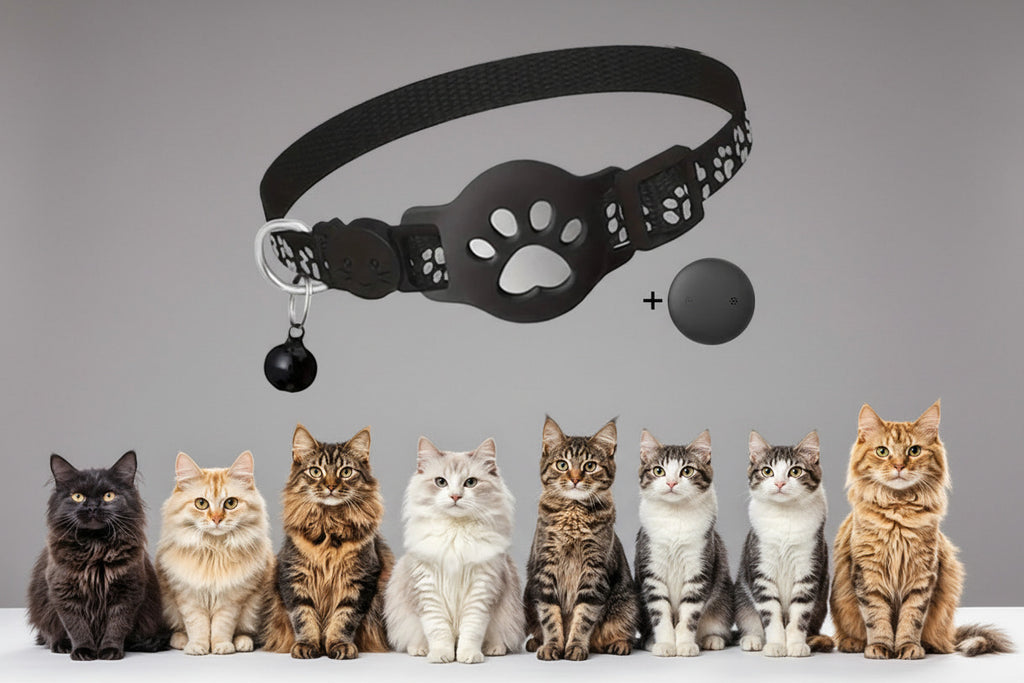Waterproof Mini Dog Gps Animal Tracking Movement Alert Collars anti Lost Tracker for Cats and Puppies Remote Global Locator