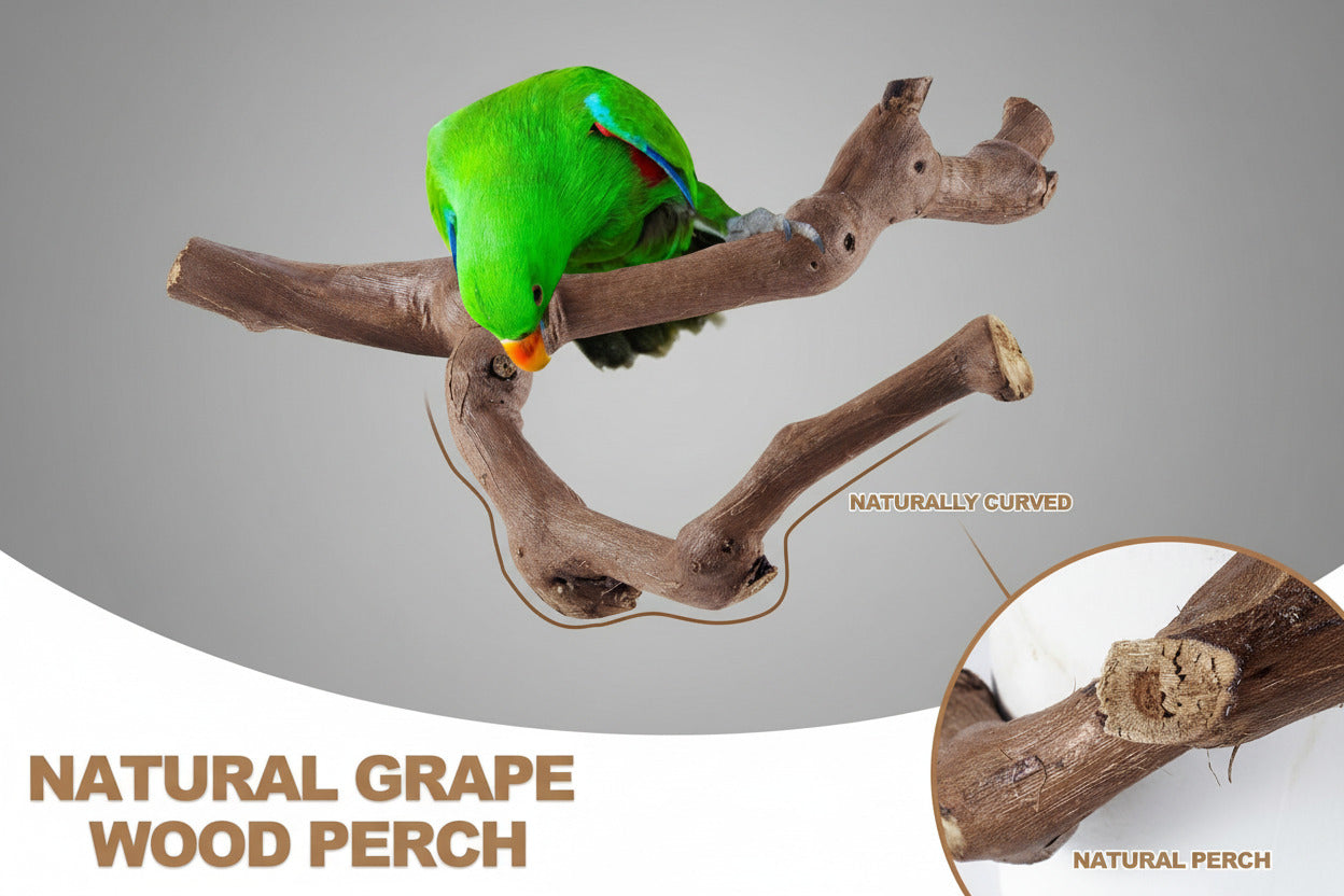 6-Piece Bird Perch Set - Natural Wood Grape Sticks, Paw Grinding Forks, Bird Stand & Toys for Parakeets, Cockatiels, Conure, Budgies