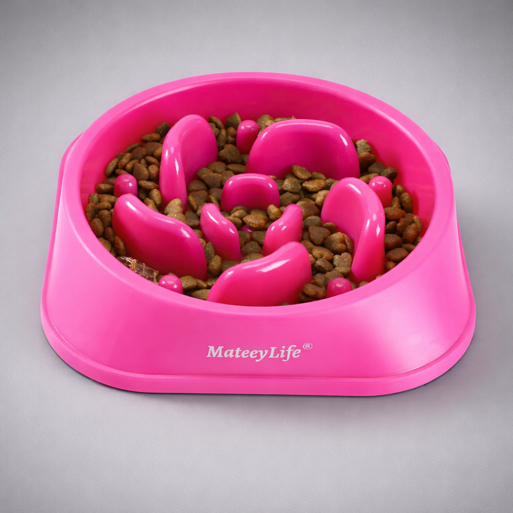 Slow Feeder Dog Bowl