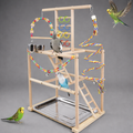 Fun and Playful Bird Playground