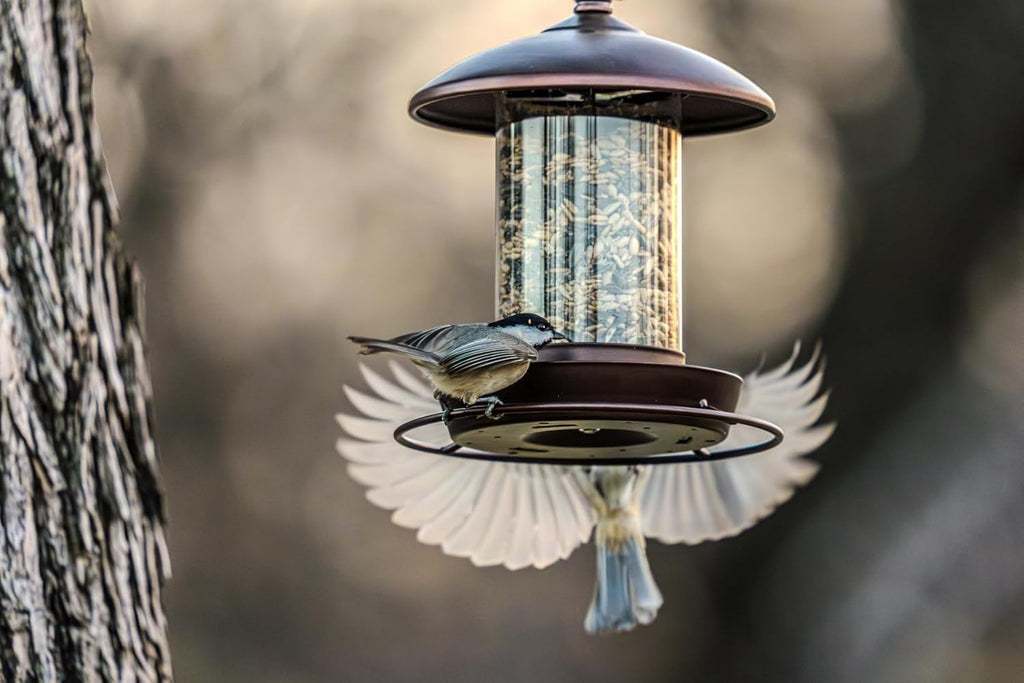 Metal Roof Bird Feeder - Chew Proof for Outdoor Hanging Wild Bird Seeds. Bronze