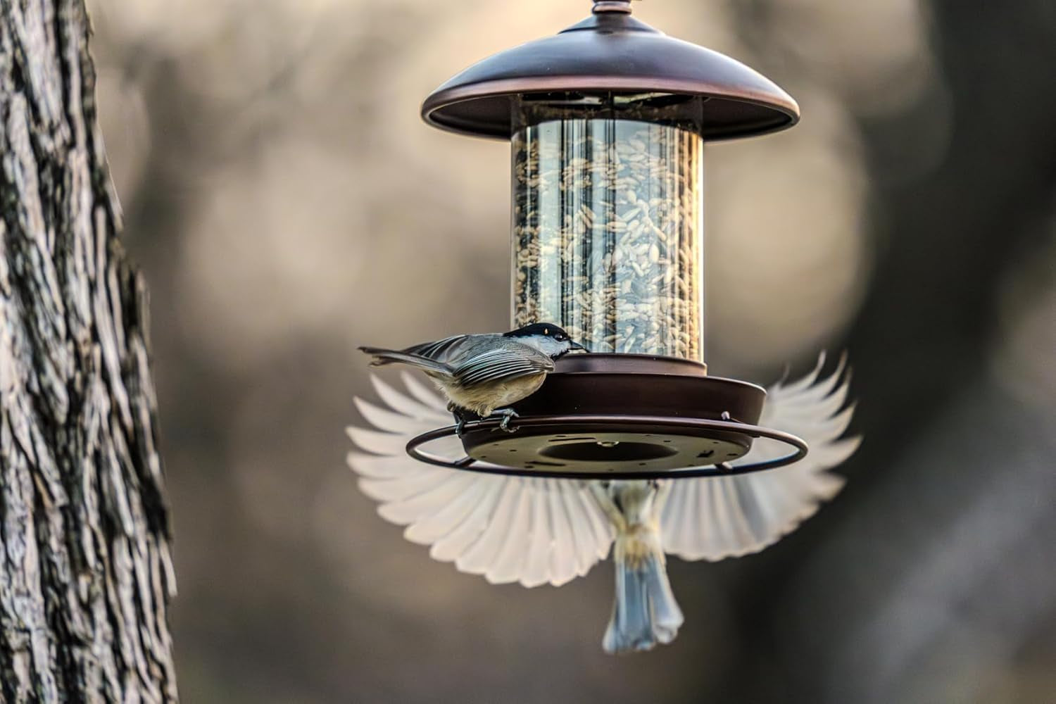 Metal Roof Bird Feeder - Chew Proof for Outdoor Hanging Wild Bird Seeds. Bronze