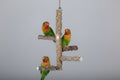Bird Perch Nature Wood Stand for 3-4Pcs Small Medium Parrots (S)