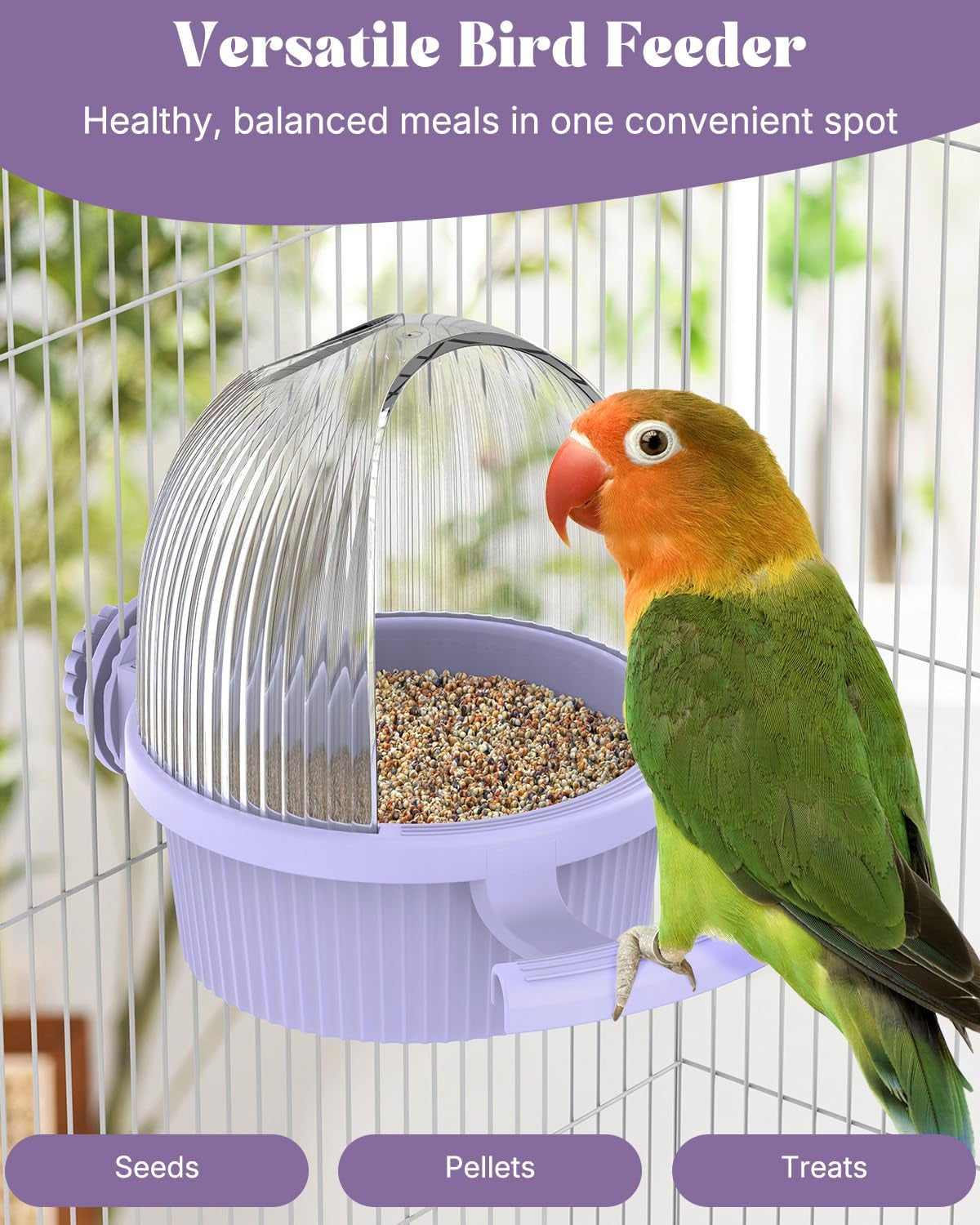 No Mess Bird Feeder with Water Dispenser, Food and Water Bowl for Parakeet, Parrot, Cockatiel, Budgie and Lovebird