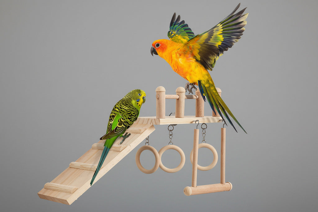 Bird Perches Platform Swing with Climbing Ladder, Parakeet Cage Accessories Wooden Playing Gyms Exercise Sturdy for Small Birds
