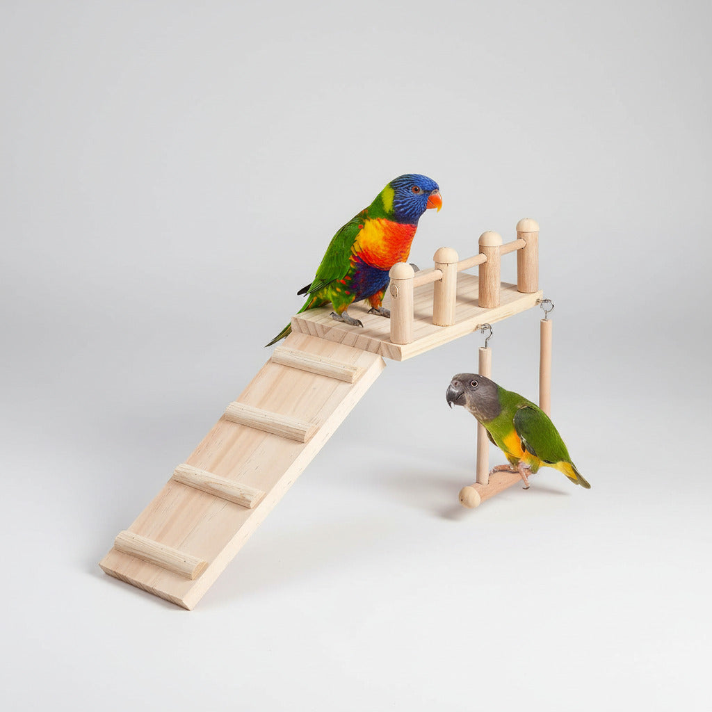 Bird Perches Platform Swing with Climbing Ladder, Parakeet Cage Accessories Wooden Playing Gyms Exercise Sturdy for Small Birds