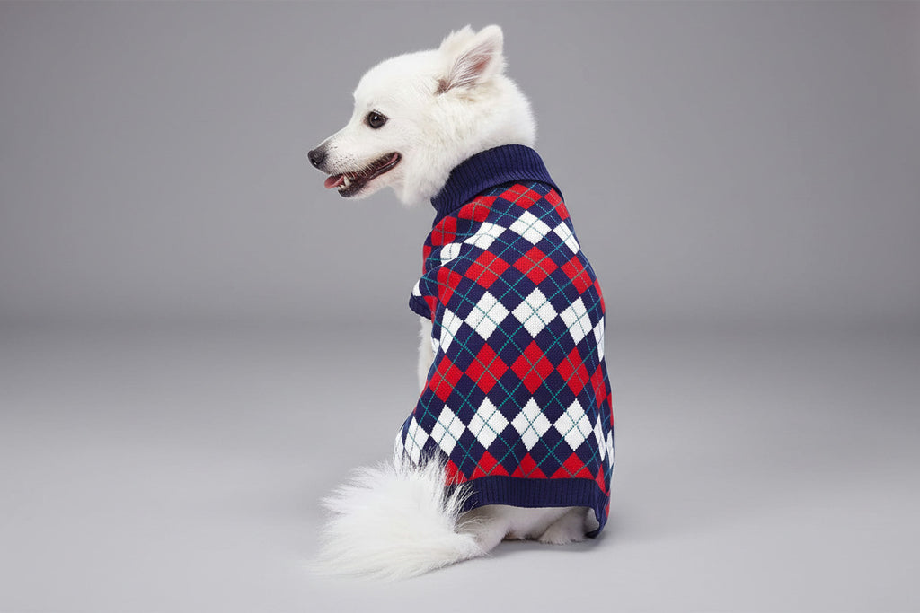 Chic Argyle All over Dog Sweater in Navy Blue, Back Length 10", Pack of 1 Clothes for Dogs