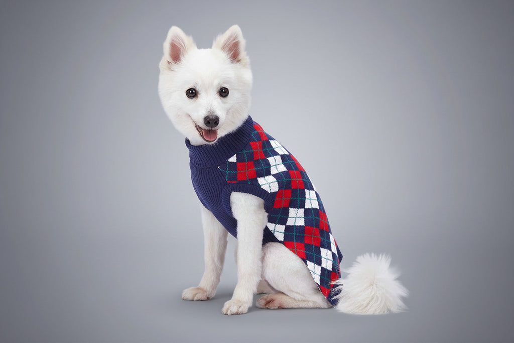 Chic Argyle All over Dog Sweater in Navy Blue, Back Length 10", Pack of 1 Clothes for Dogs